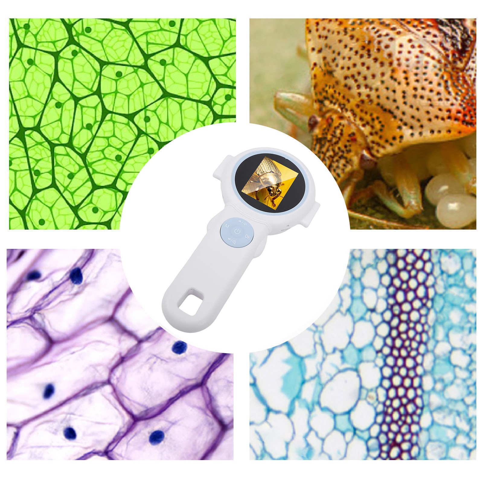 Kids Microscope 2.0in HD Screen Digital Handheld Camera 1000X Magnification ZOBD