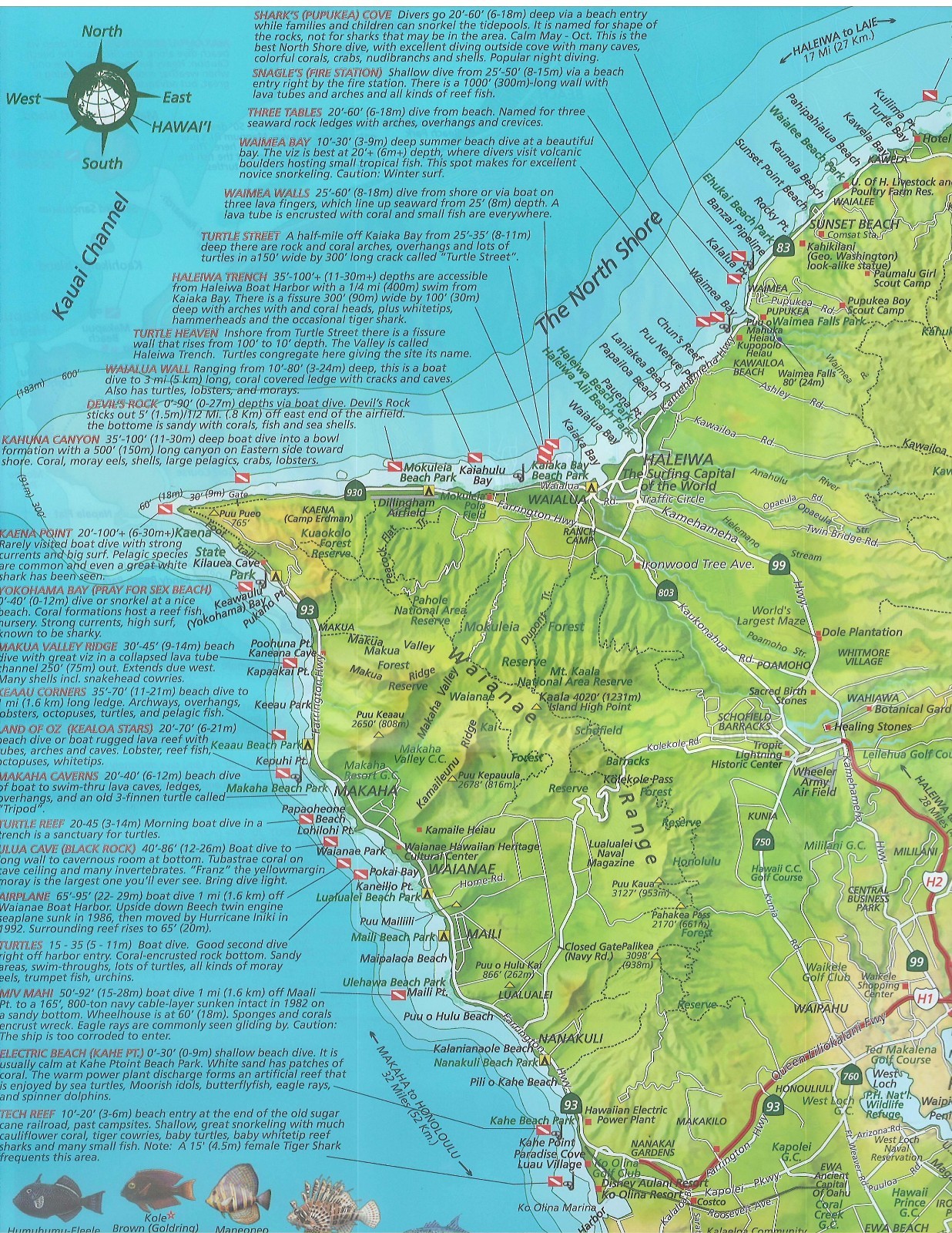 Oahu Hawaii Dive Map Waterproof Map by Frank Nielsen