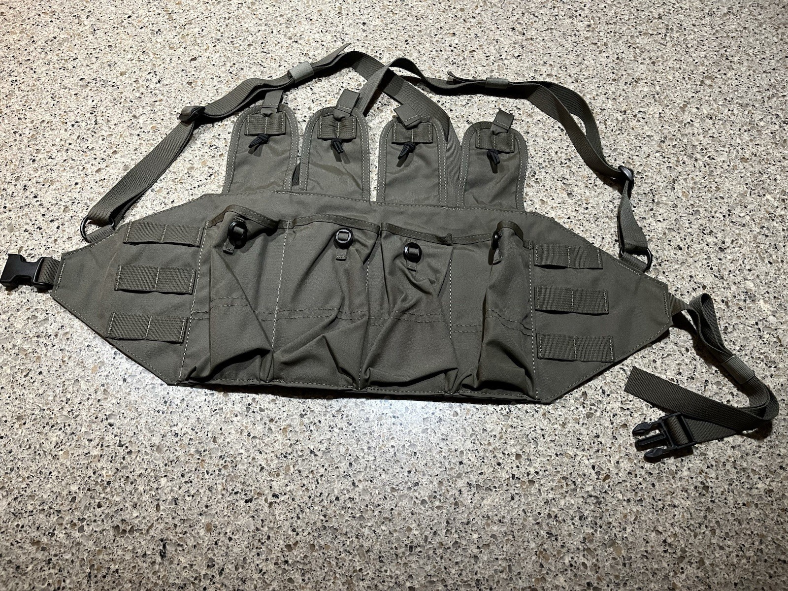WETWRX (Parashooter Gear) Type 81M Ranger Green Chest Rig New