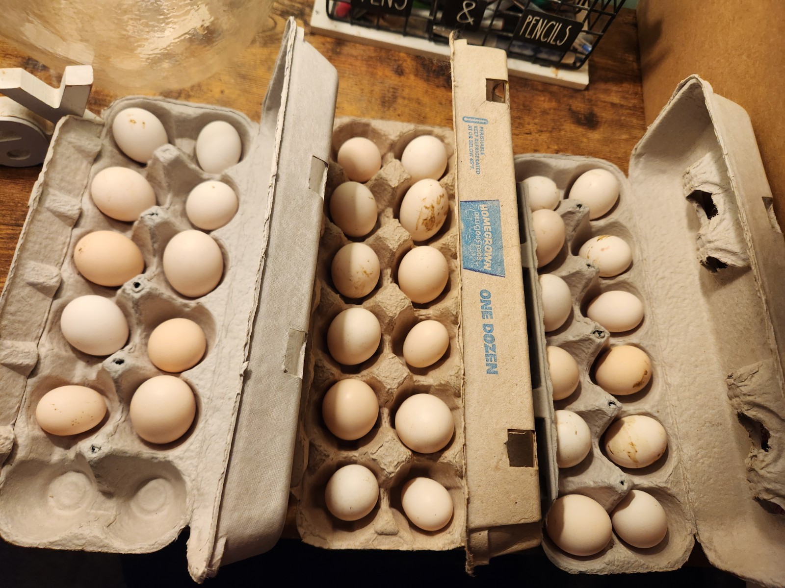 10++ Fertile Show Quality Serama Chicken Hatching Eggs