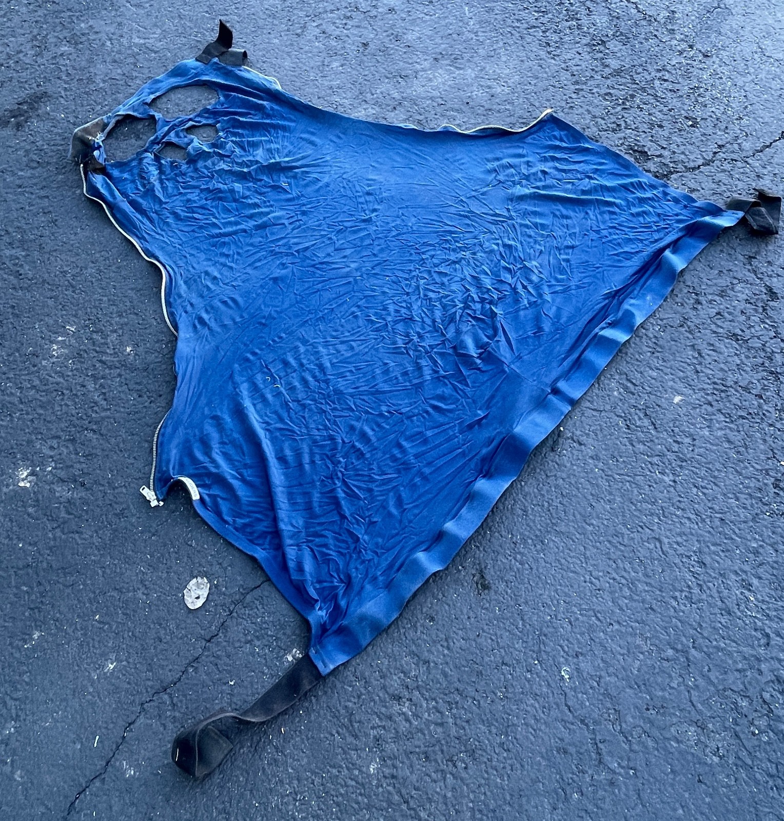 Schneiders Blue Horse Hood Large 56in x 52in Zipper Closure Stretch Sheet