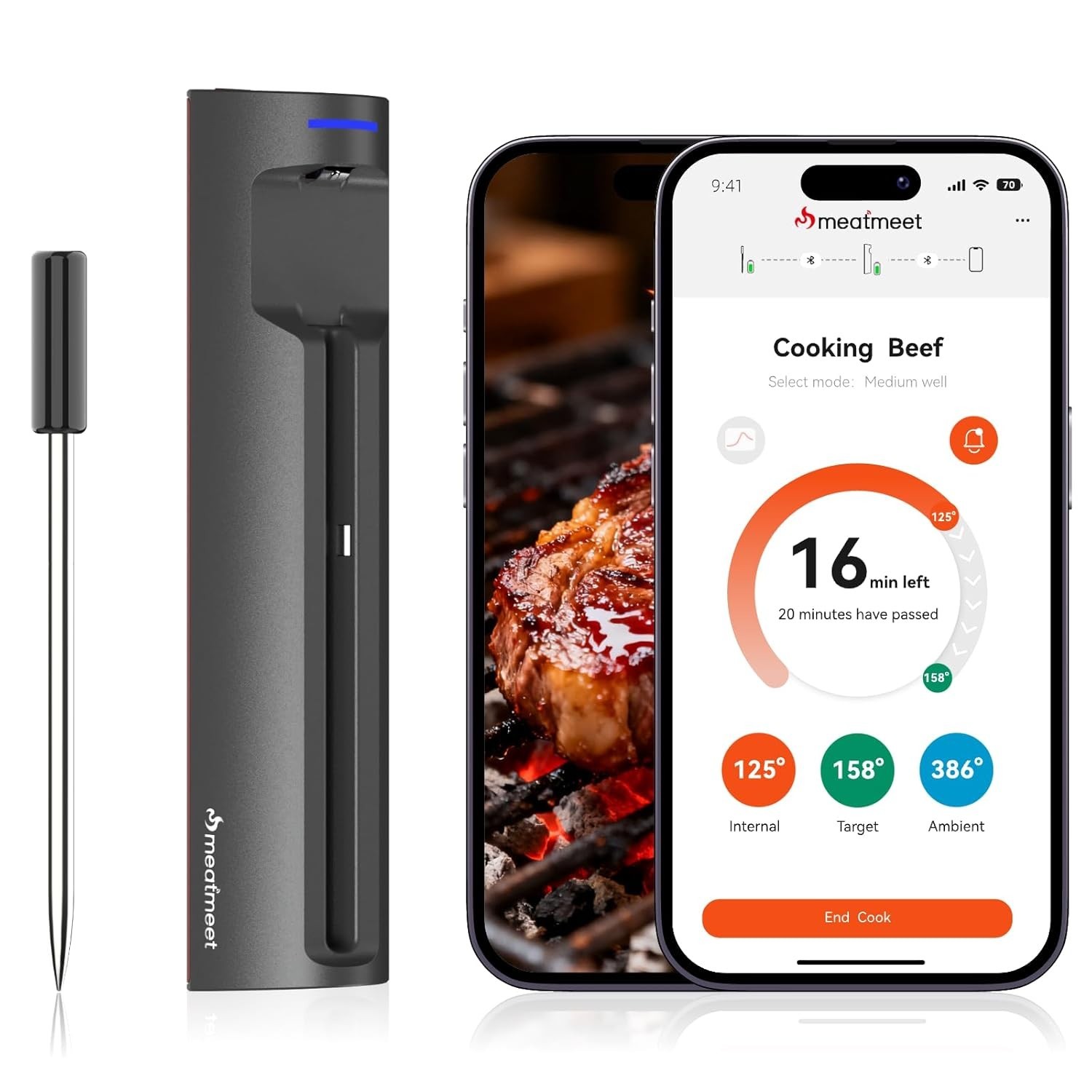 Wireless Meat Thermometer AI WiFi Bluetooth Digital Waterproof Pro
