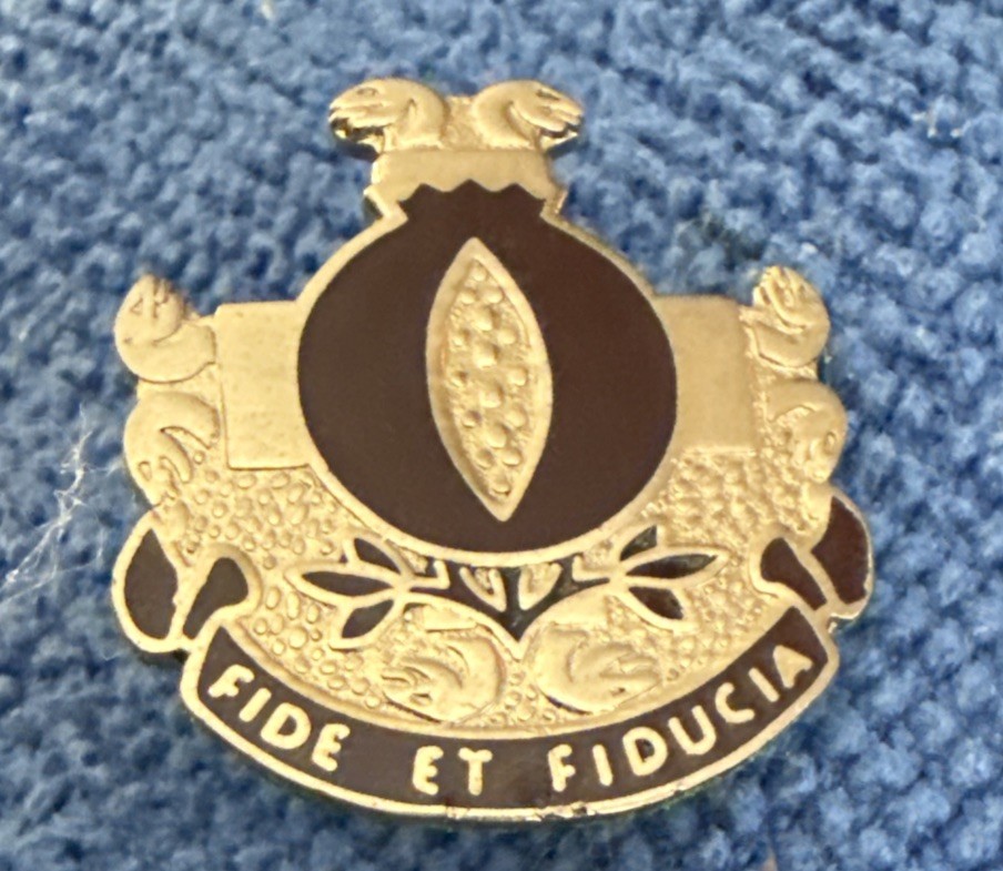 US SRMY 61st SURGICAL HOSPITAL DUI Pin D25