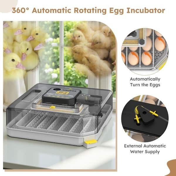 30 Egg Incubator with Humidity Display, Egg Candler