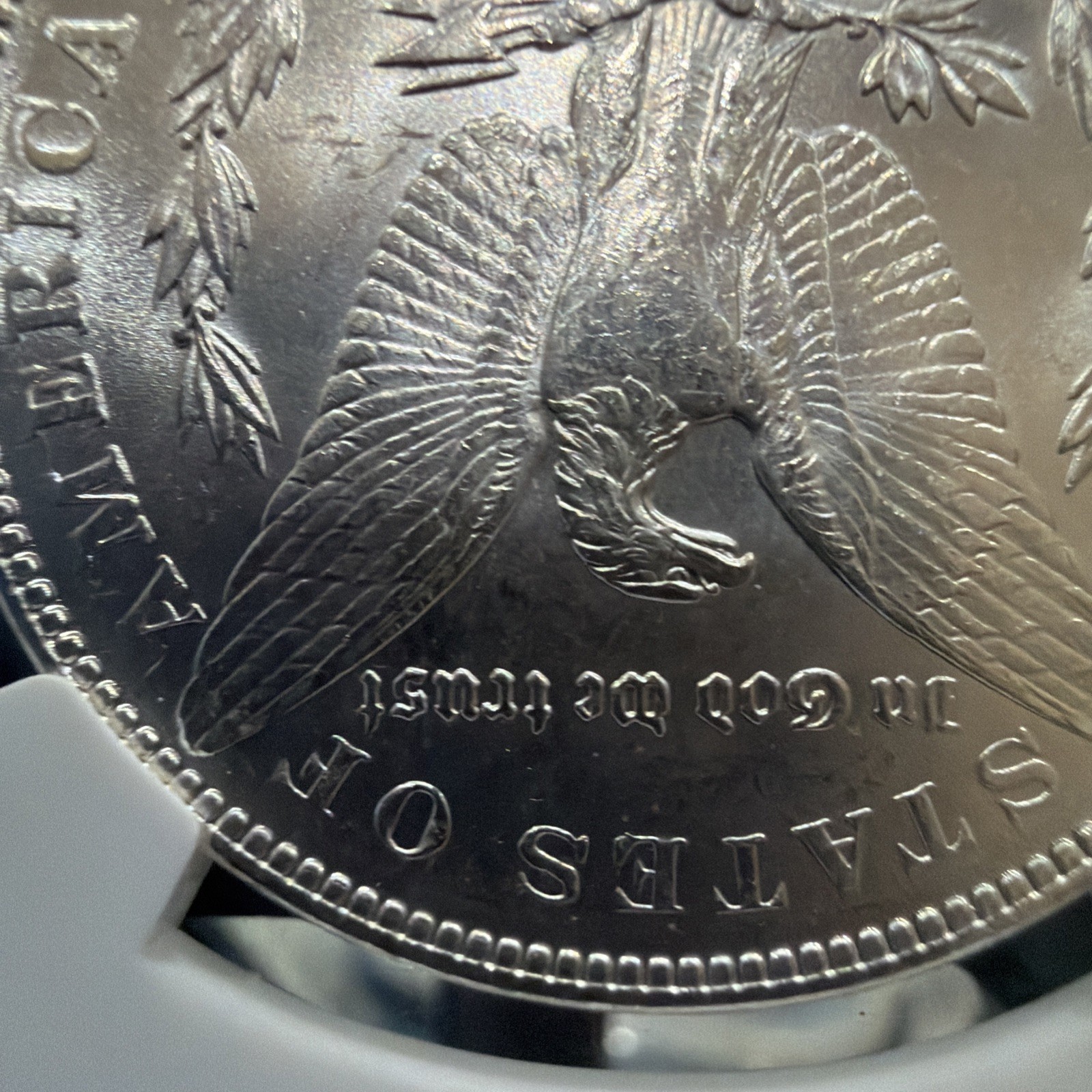 1886 Morgan Silver Dollar NGC MS63