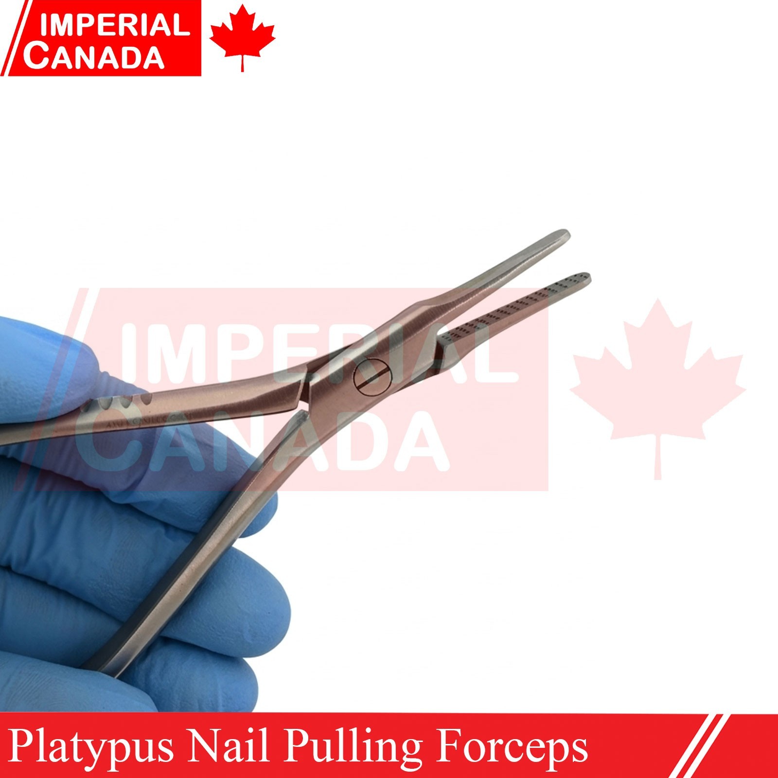 Platypus Nail Pulling Forceps Pliers 5.5" Surgical Instruments German Gr DN-2702