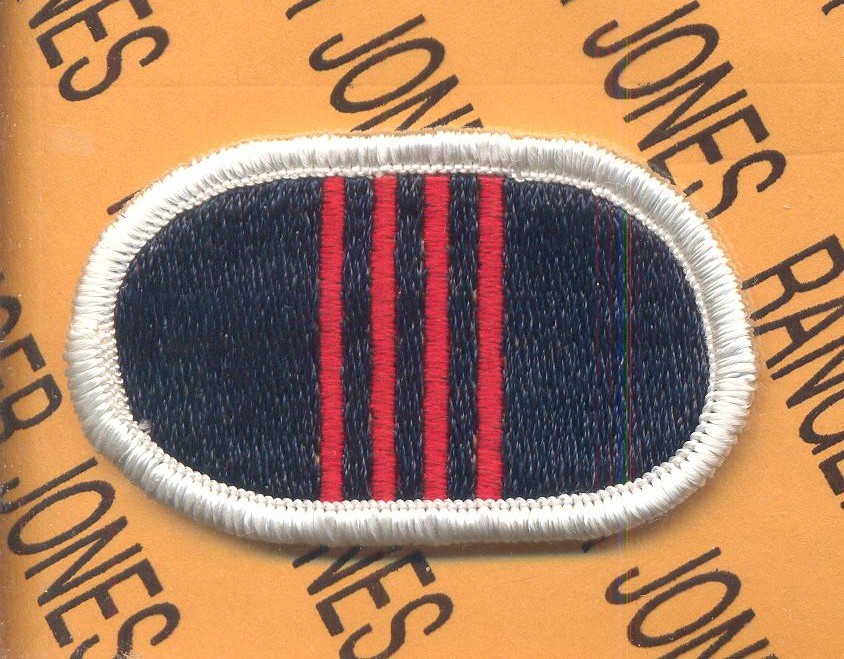 101st Airborne Division Personal Services Bn PSB Air Assault para oval patch m/e