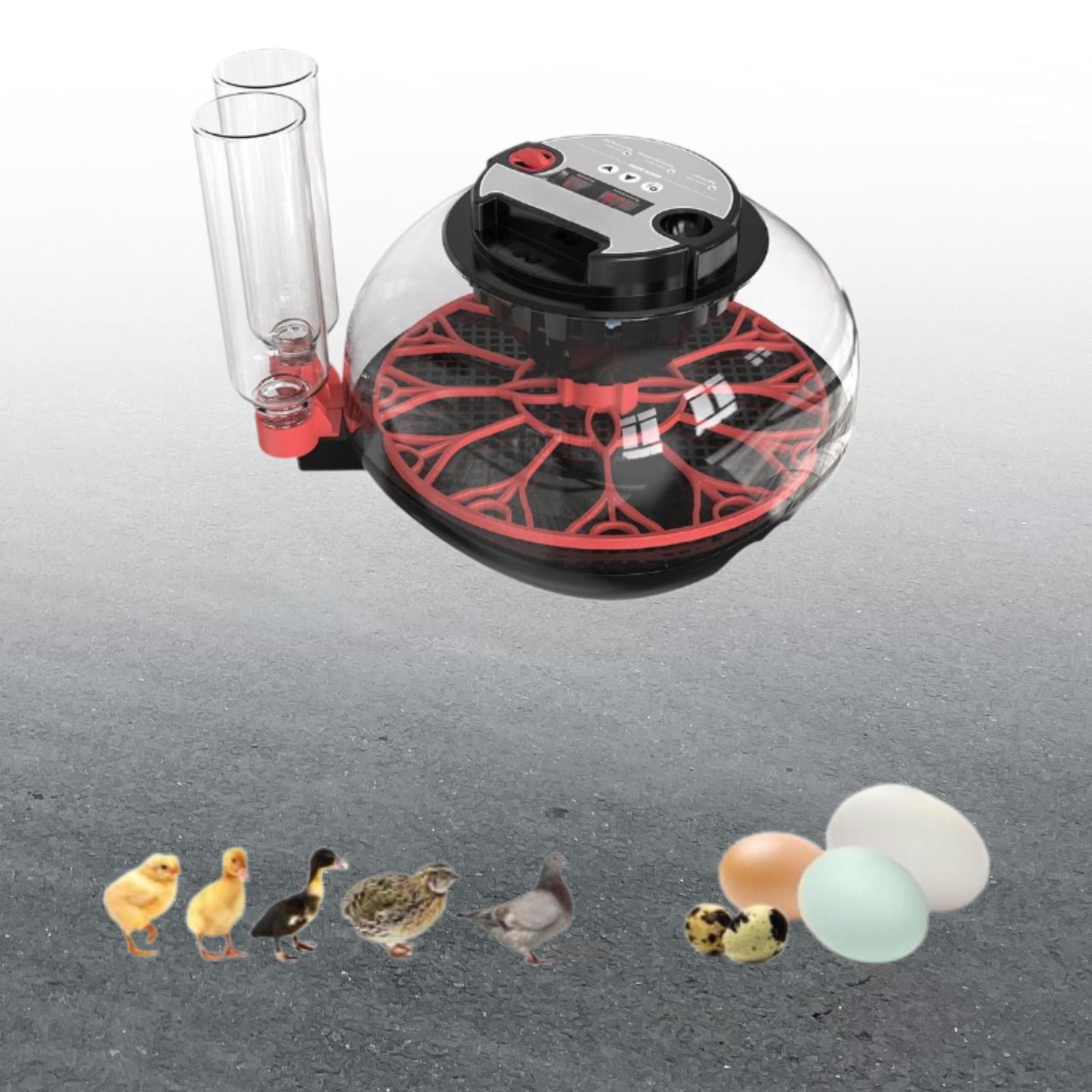 Mini Egg Incubator Poultries Hatcher 7 Eggs Compact Temperature Control