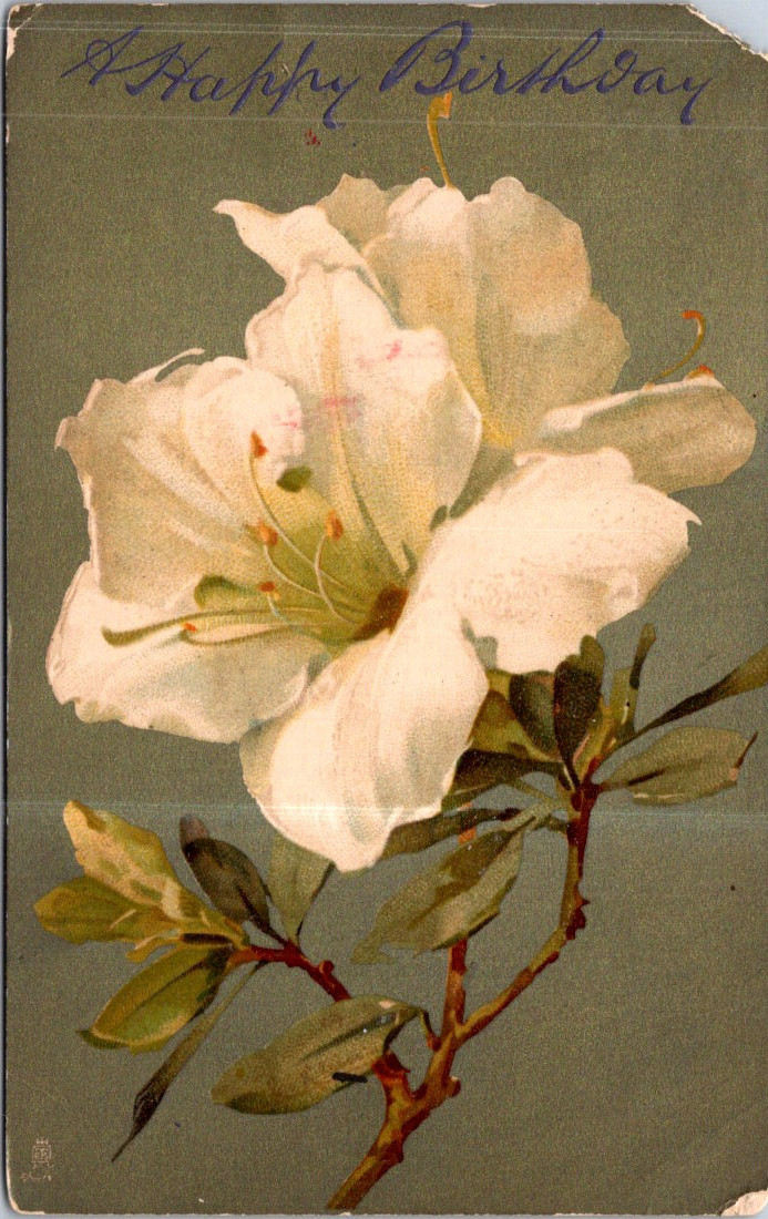 (1003) 30-5-202 - VERY OLD - USA - Flower / Birthday (?)