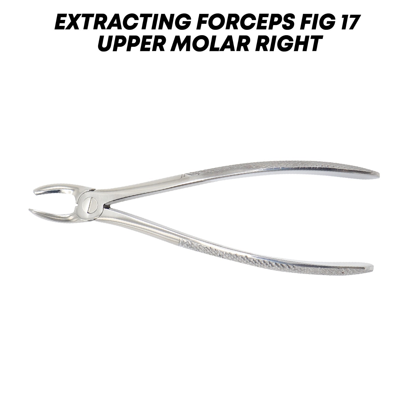 Dental Extraction Forceps Upper Molar Right Fig 17 Tooth Extracting Instruments