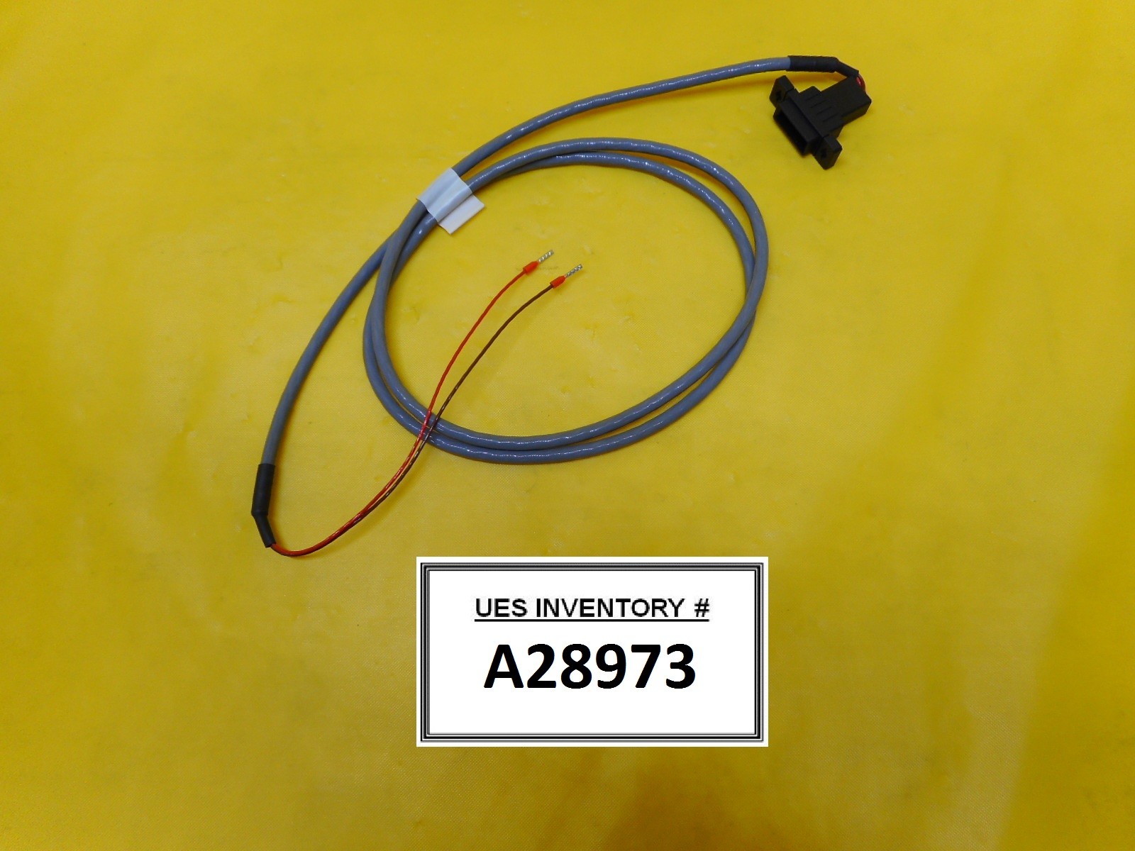 TEL Tokyo Electron J12 Cable Assembly New Surplus