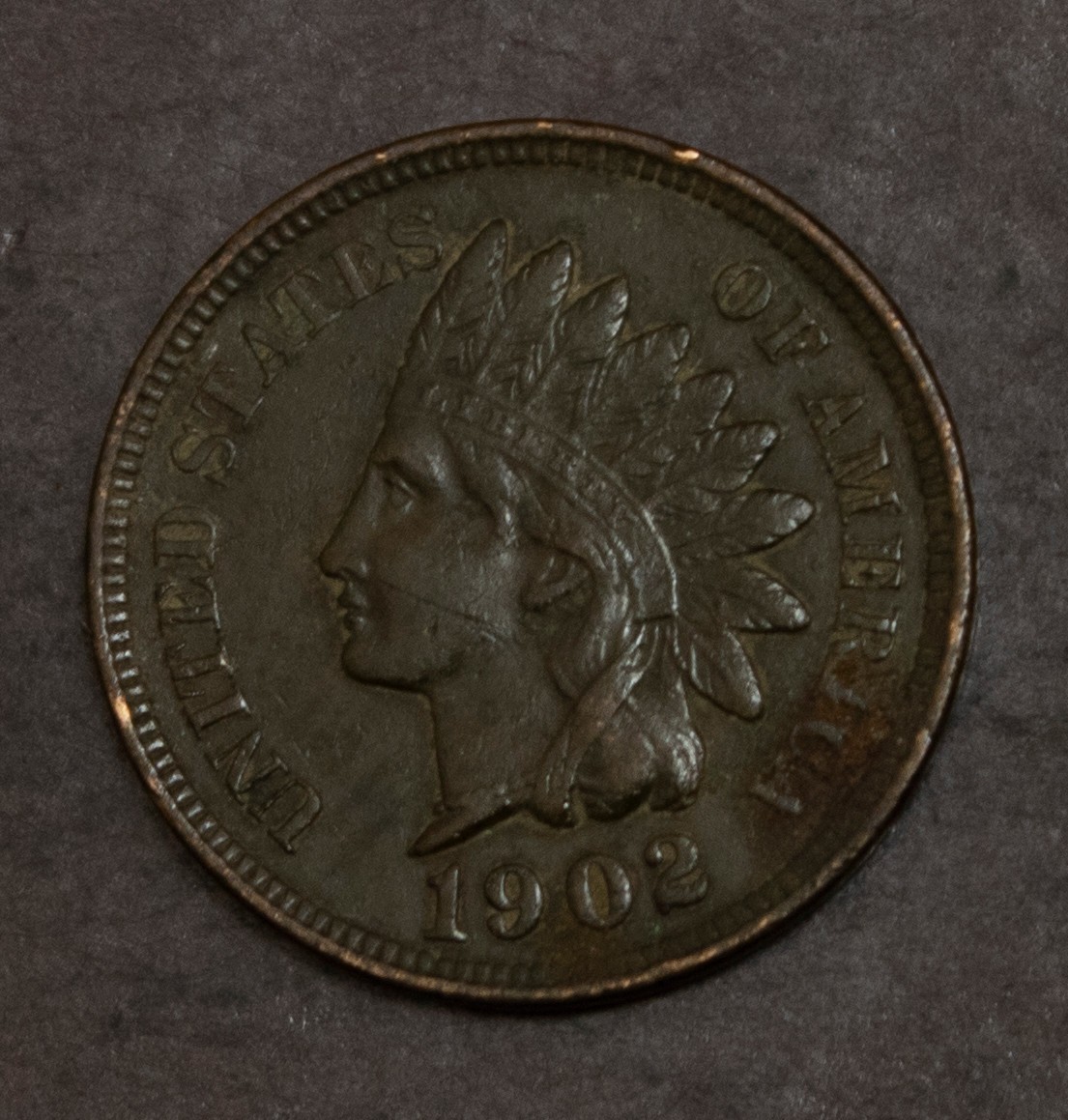 1902 Indian Cent   Lot Y3420