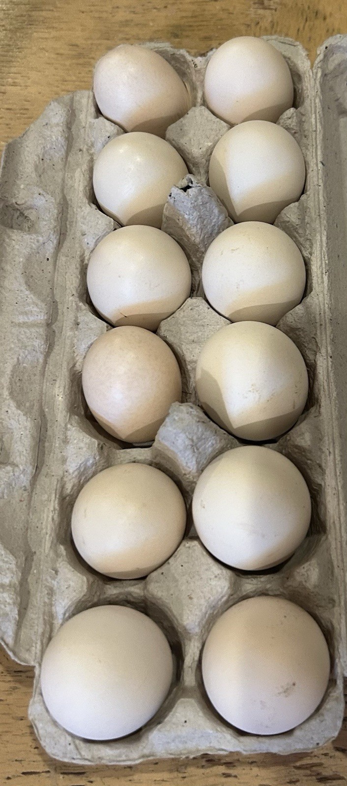 10 Heritage Yardbird Assortment Hatching Eggs