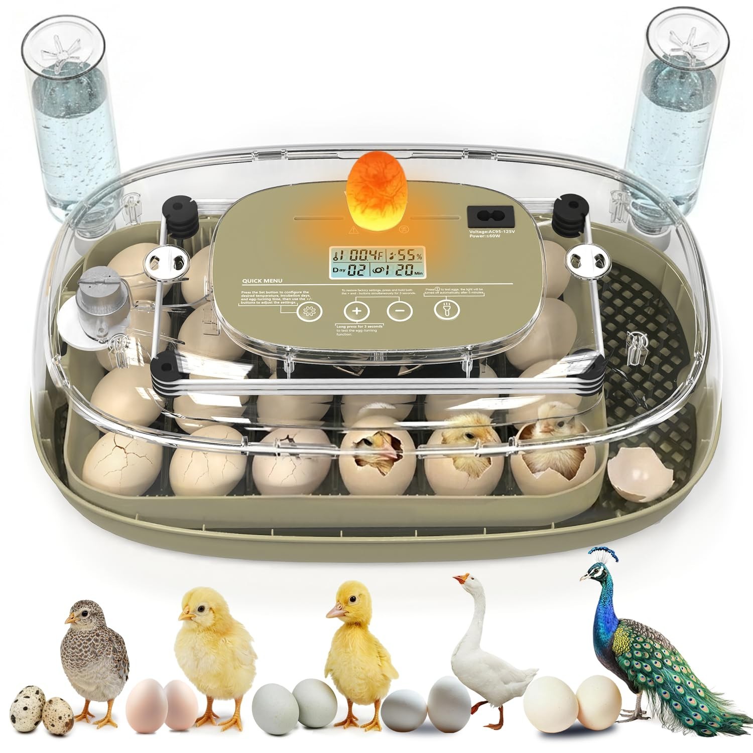 Incubators for Hatching Eggs,24 Eggs Capacity with Automatic Turning, Accurat...