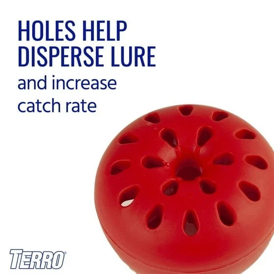 Indoor Fruit Fly Trap, (2-count) , Terro Traps, In Built With Window Sinks...