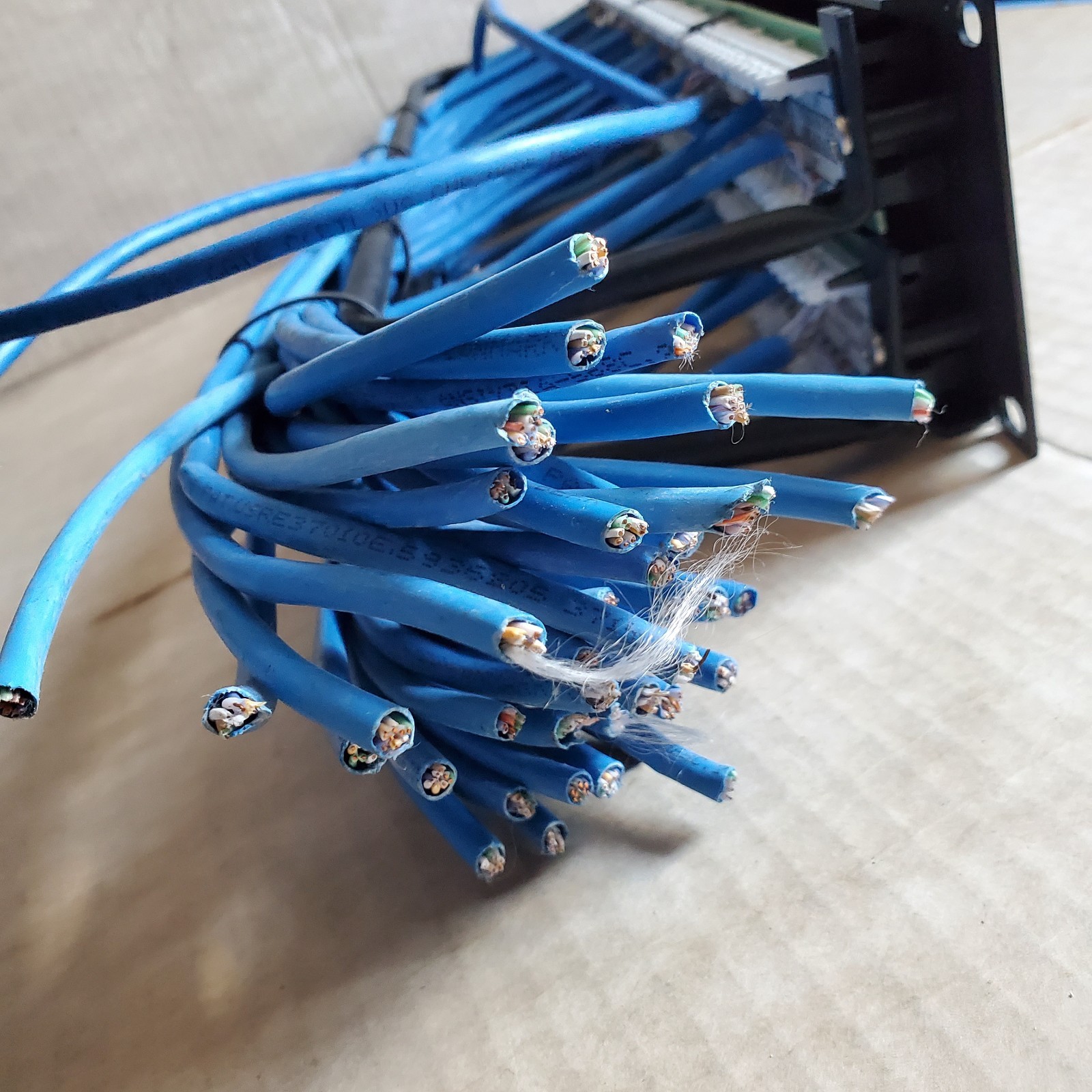 48-Port eXtreme Cat 6+ Flat 110-Style 2RU Patch Panel with Cable Management Bar