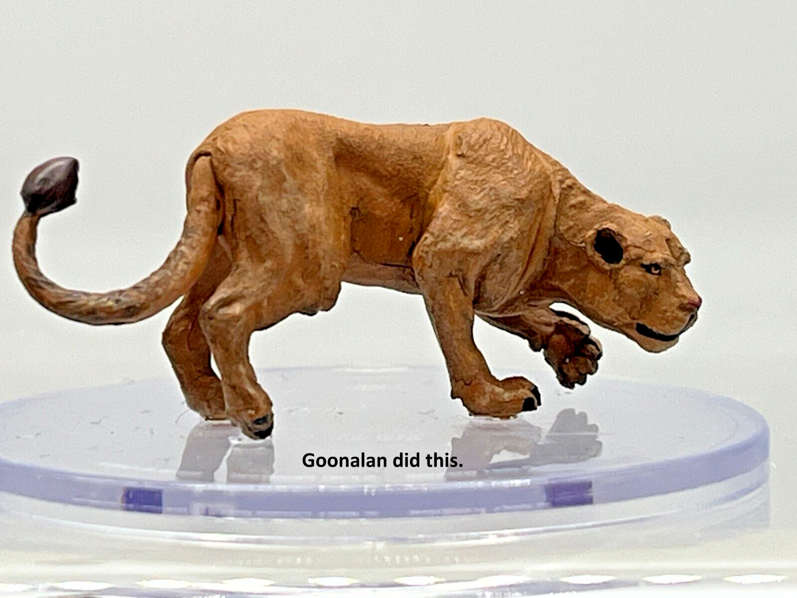 D&D Pathfinder Mini Mwangi Expanse 30 Lioness UC LARGE