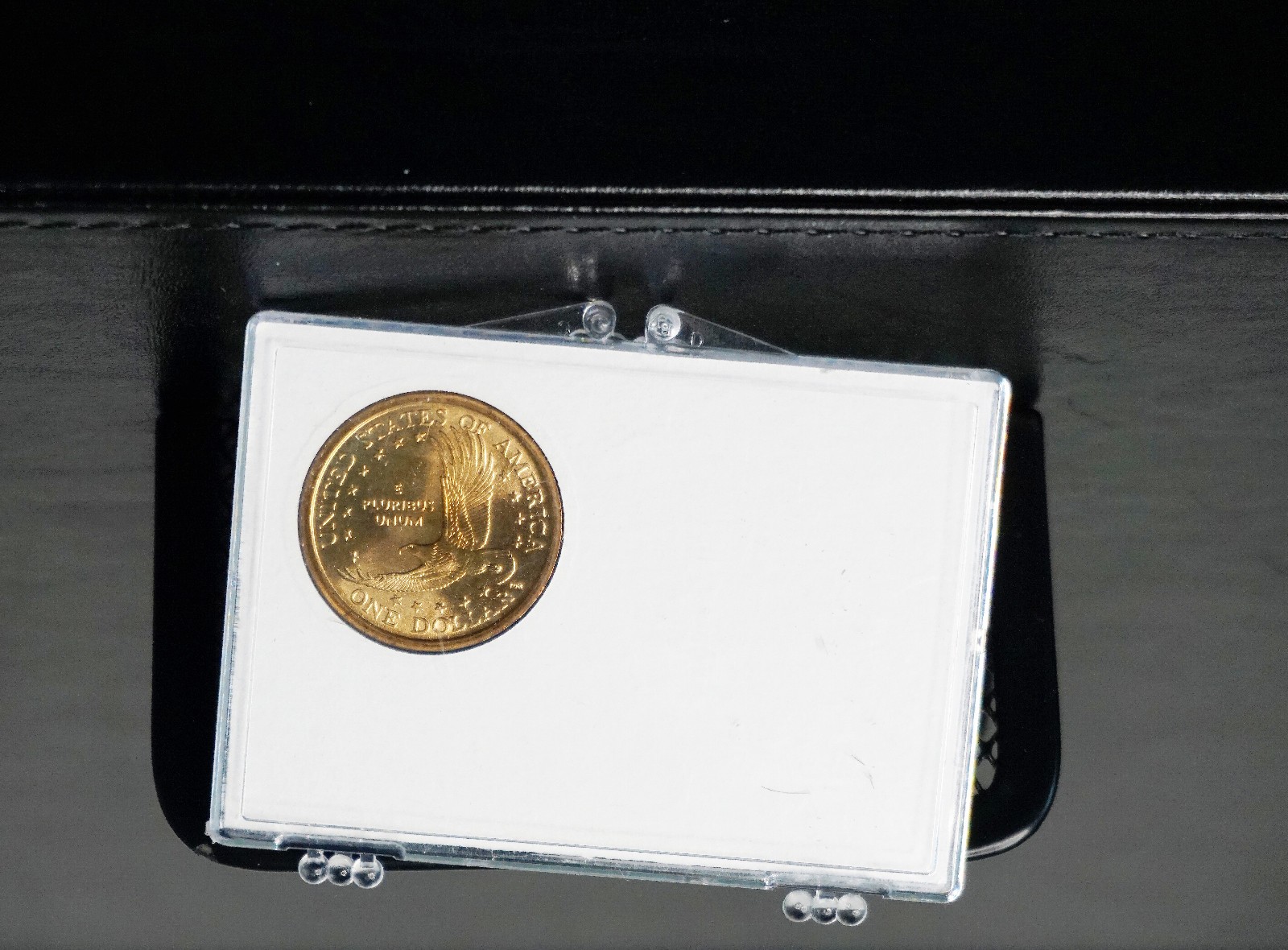 The Sacagawea 2000 P Dollar Uncirculated In Plastic Display Case