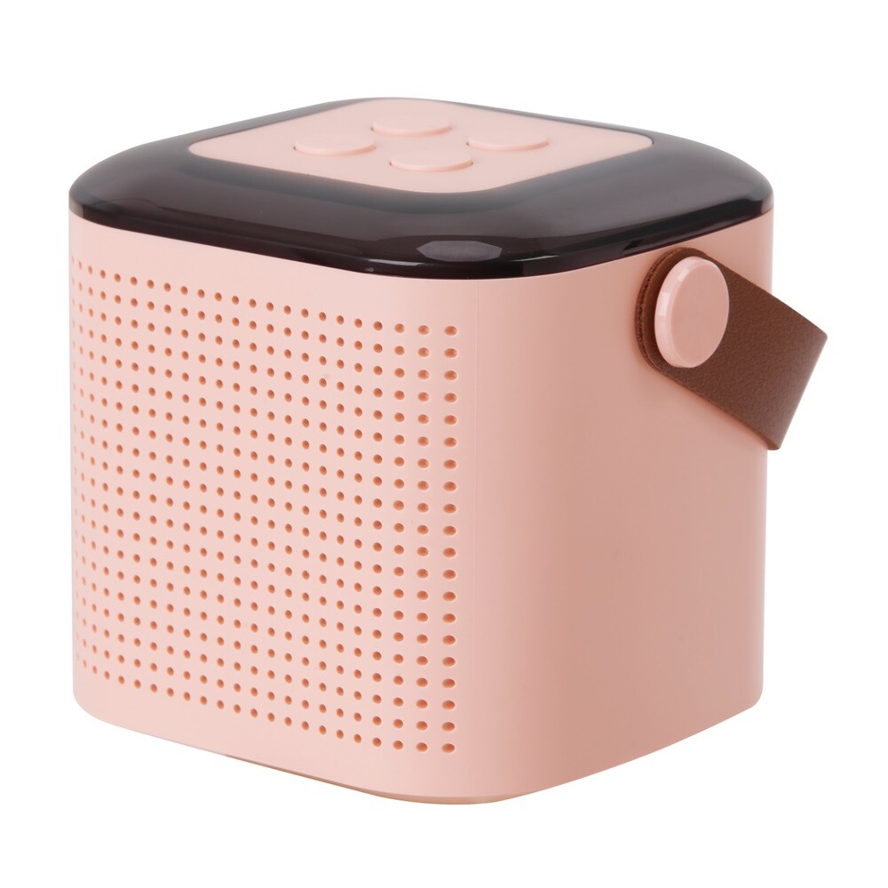 Kids Bluetooth Karaoke Portable Speaker Machine 2 Microphones