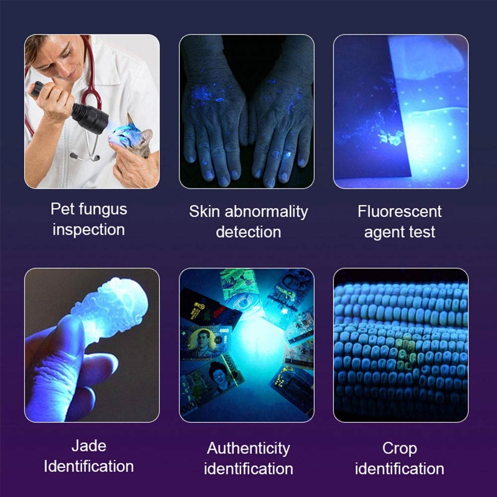 Ultraviolet UV Light 365nM 3LED Flashlight BlackLight Inspect Torch Rechargeable