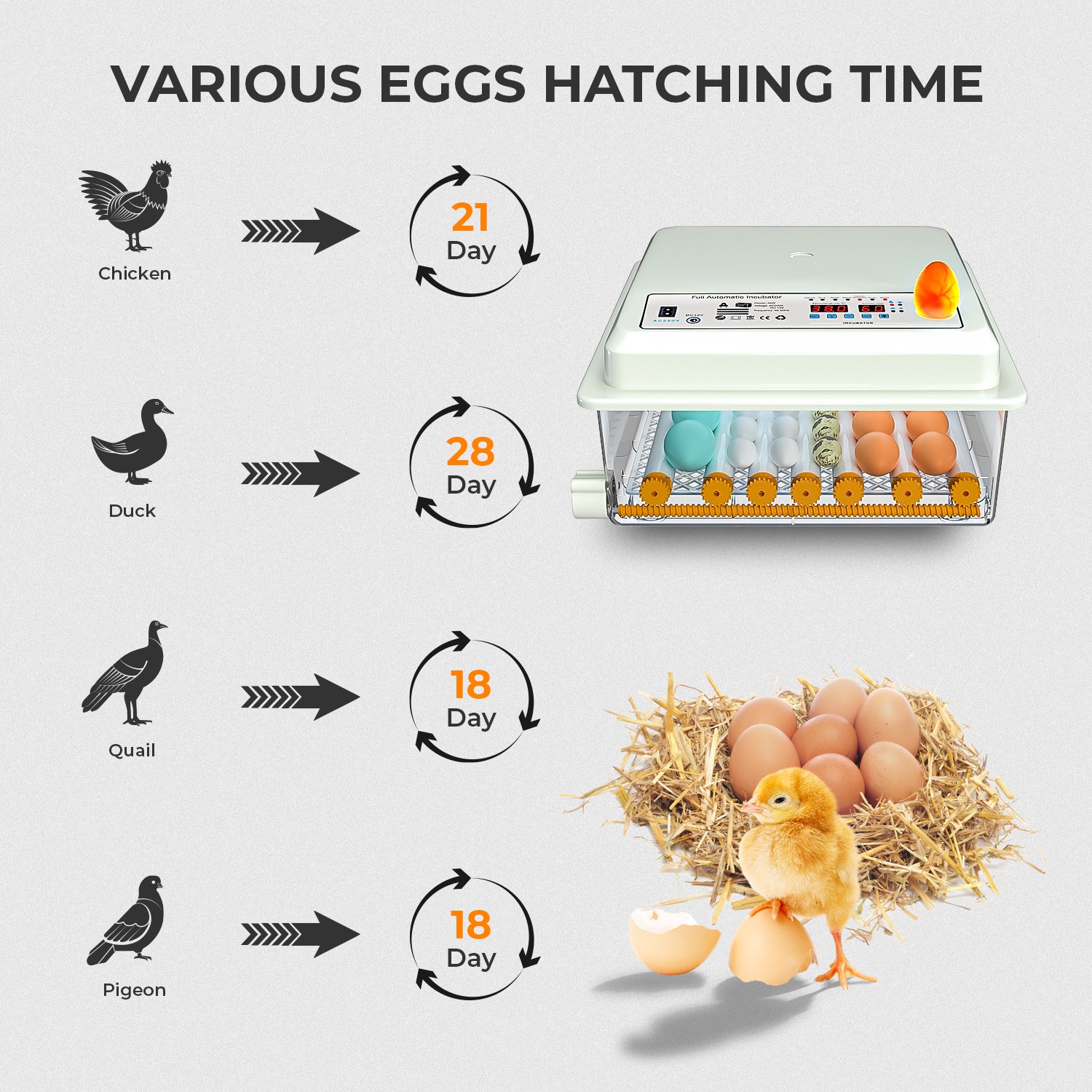 36 Eggs Incubator Temperature Control Chicken Hatcher Automatic Turning Digital