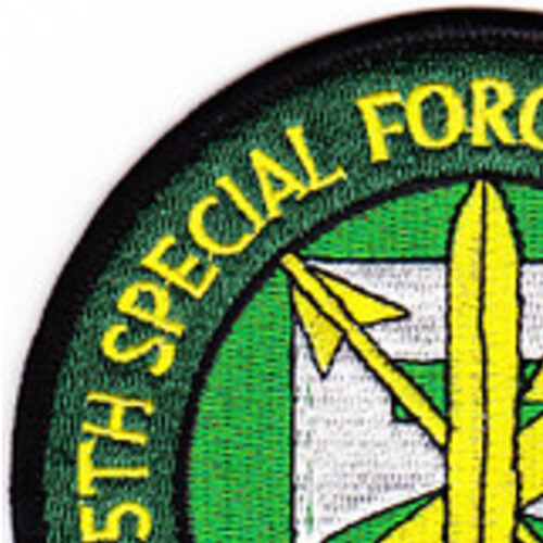 5th Battalion 19th Special Forces Group Airborne Patch