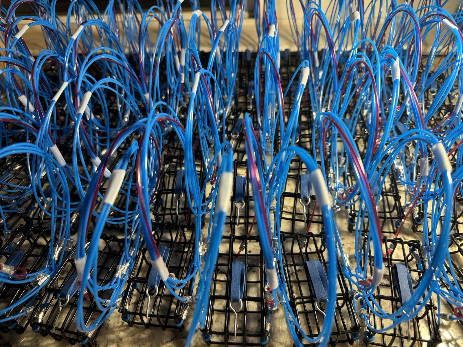 5 crab snares No Weight