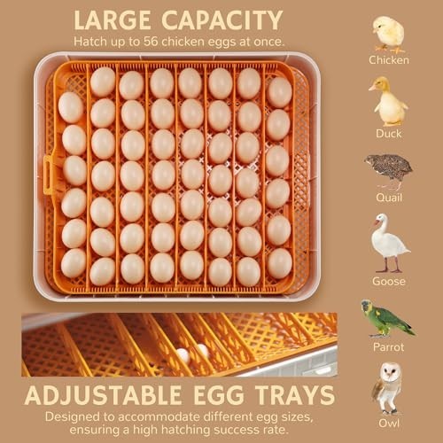 56 Incubators for Hatching Egg Incubator with Automatic Egg Turning and Humid