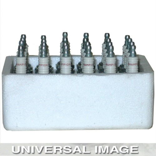 Champion Spark Plugs 841S Champion Spark Plug (24)