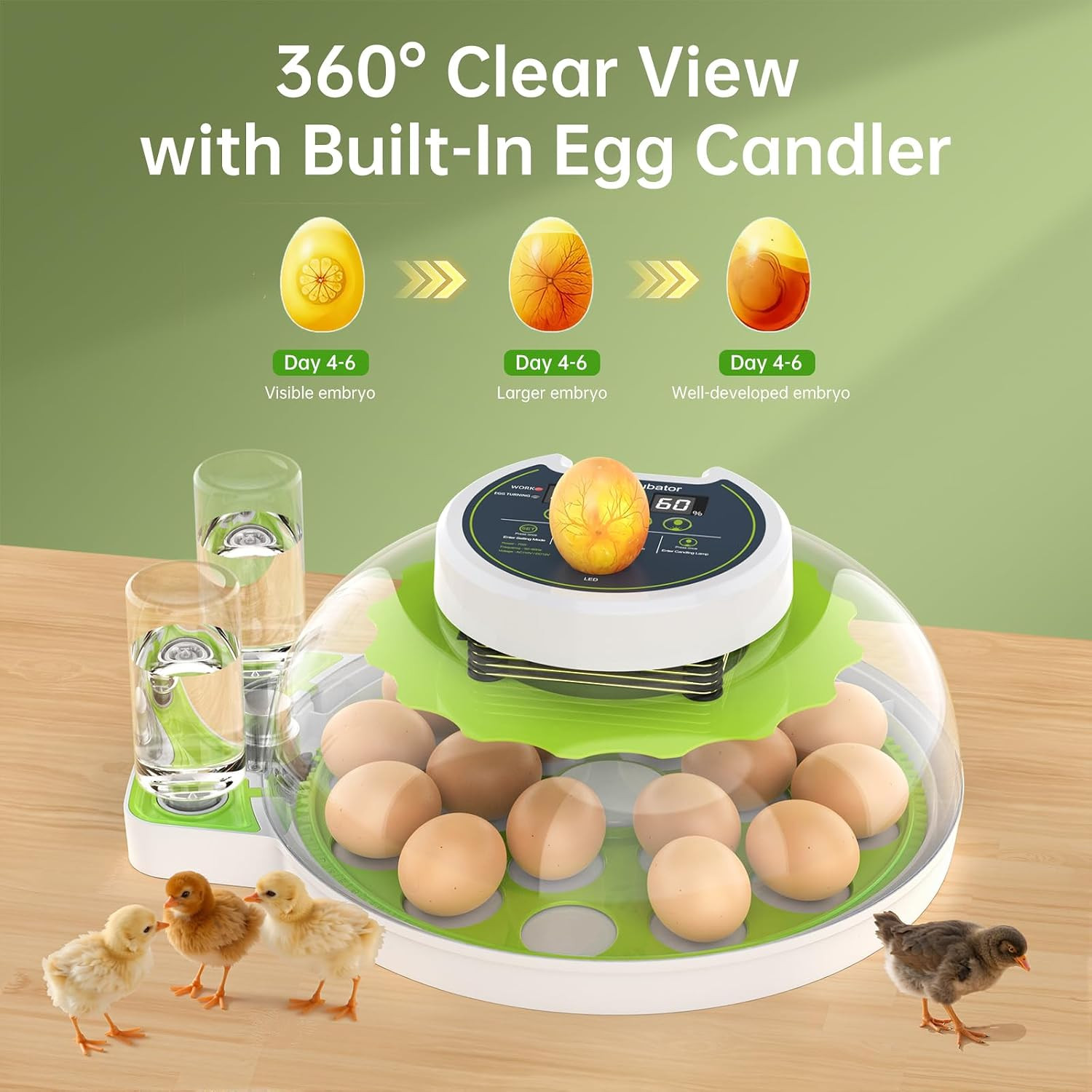 Egg Incubator with Automatic Egg Turning and Humidity Control, 18 Eggs Incubator