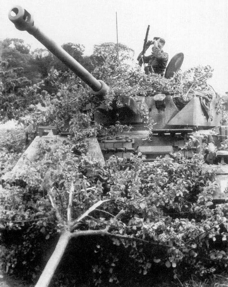WWII B&W Photo German Panzer IV Ambush Normandy World War Two Armor  WW2  / 4091