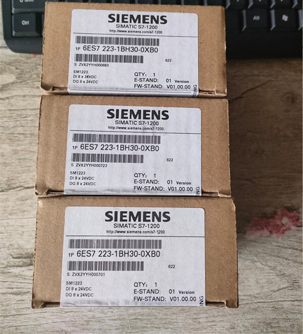 1PC Siemens 6ES7 223-1BH30-0XB0 6ES7223-1BH30-0XB0 New In Box Expedited Shipping