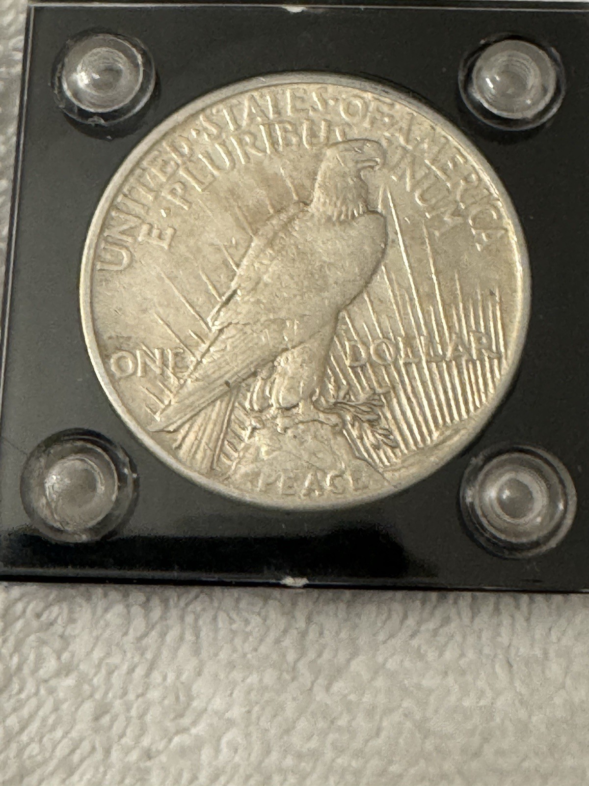 1921 Peace Coin (Key Date)