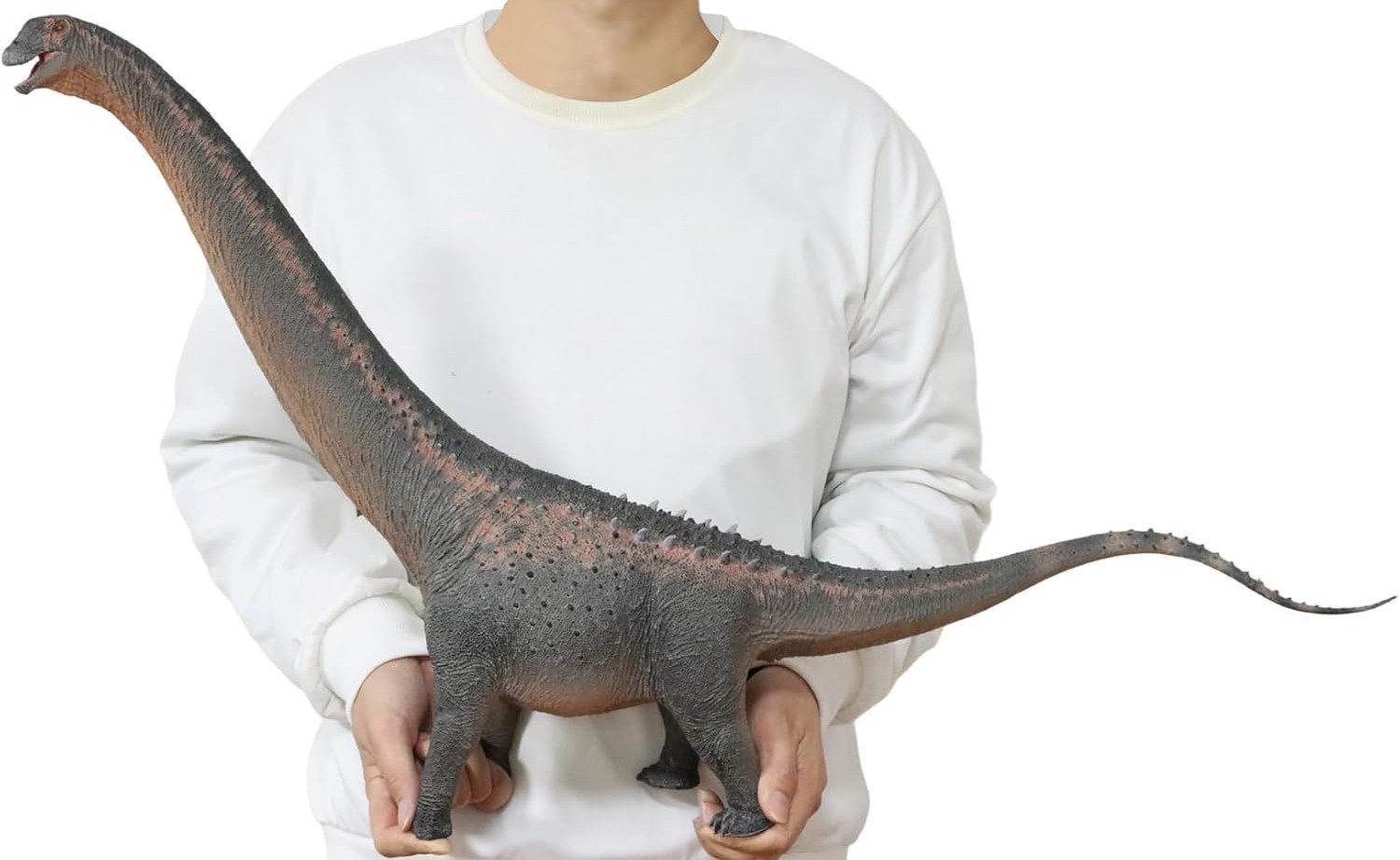 Haolonggood Argentinosaurus Gong Sun Sheng (Blue HLG 129) 1:35 Scale New in Box
