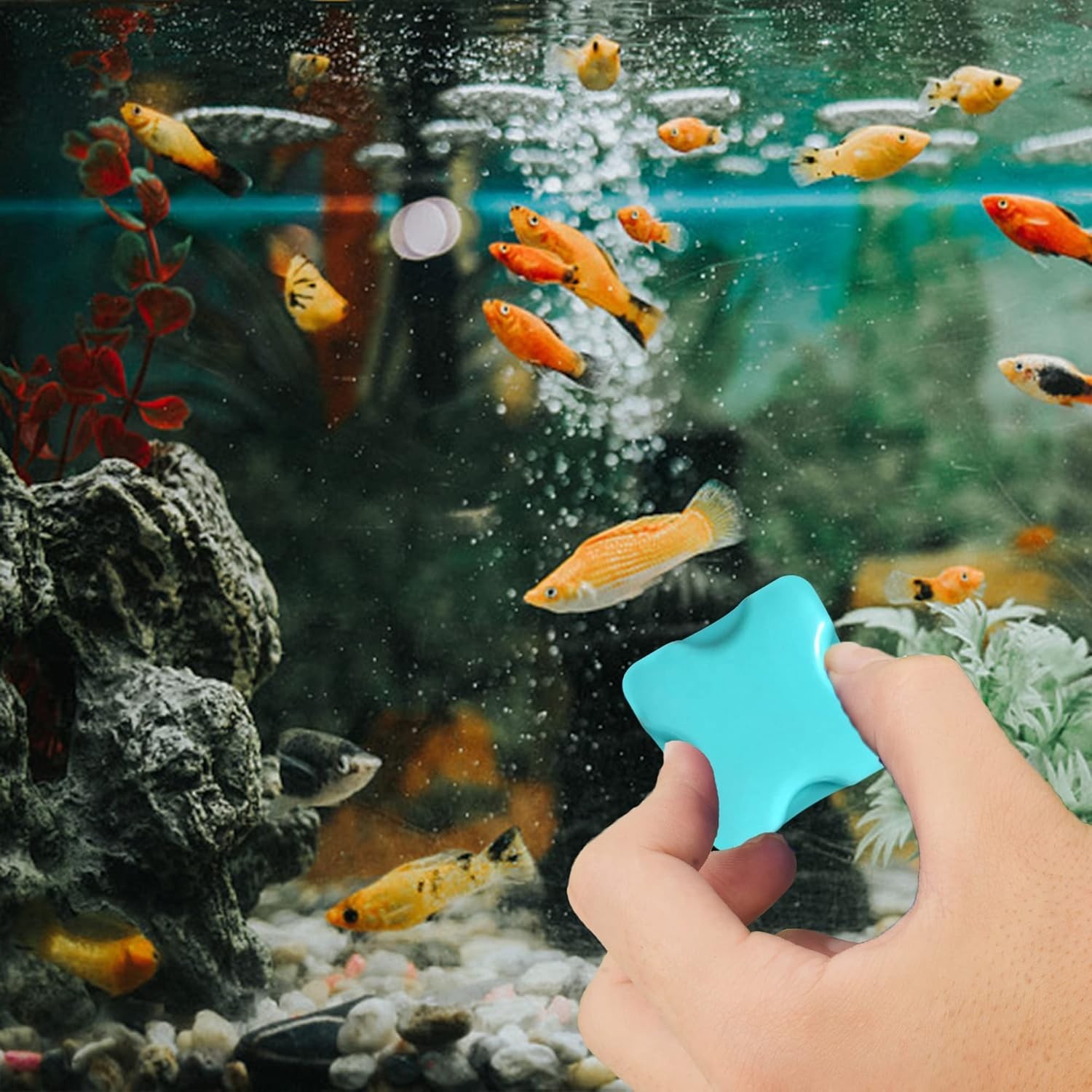Effortless Aquarium Maintenance: Scratch-Free Magnetic Algae Scraper, Mini Size