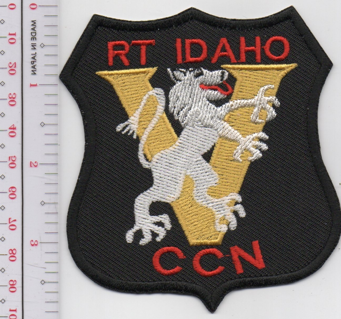 US Army Recon RT Idaho CCN V Patch NO TARIFF