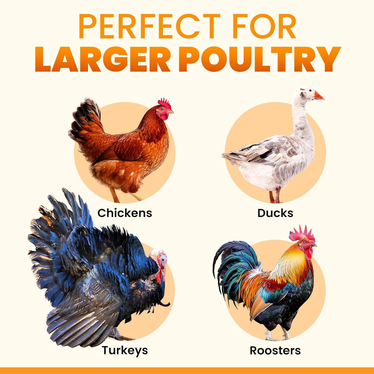 Extra Large Automatic Chicken Coop Door Solar Powered, Aluminum Auto