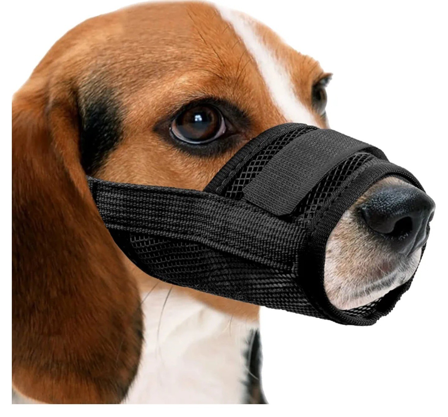YAODHAOD Nylon Mesh Breathable Dog Mouth Cover, Quick Fit Dog Muzzle  B38