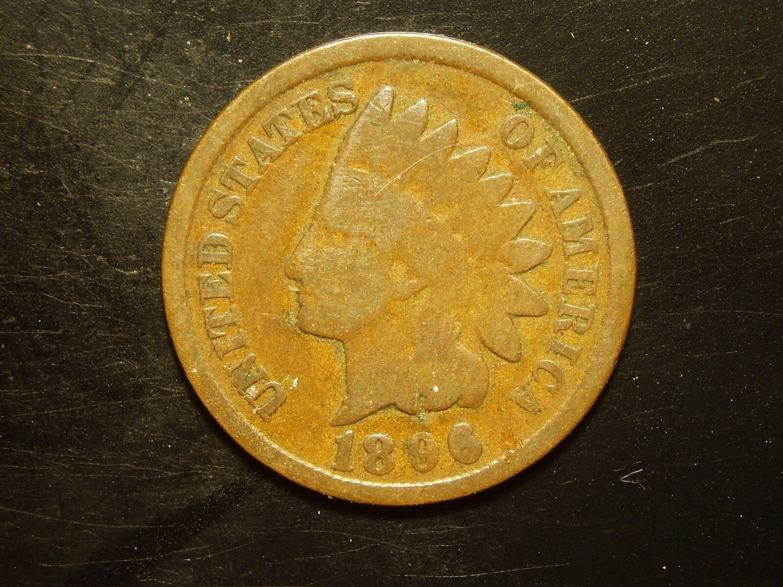 1896  INDIAN  HEAD  CENT #8