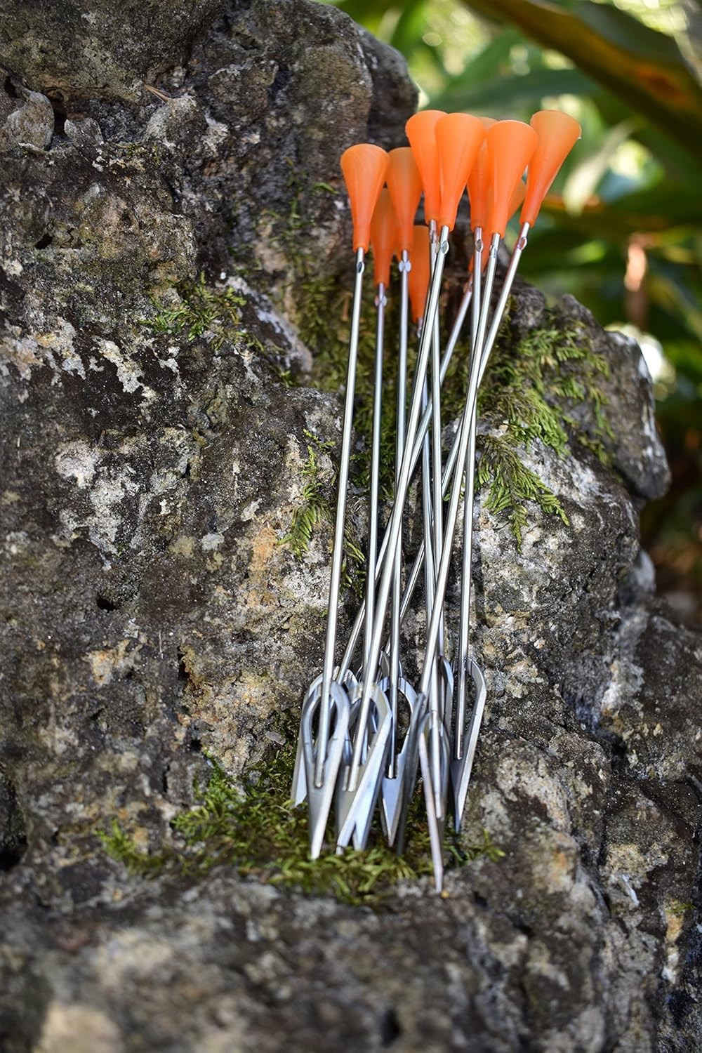 Darts Whisper Razor Dart Widest Sharpest Broadhead Darts 20 Pack