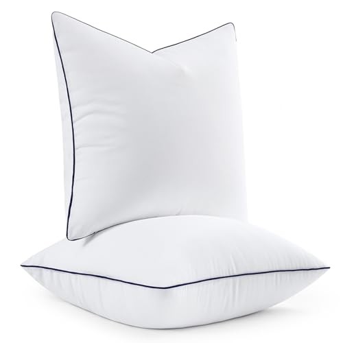 4x4 Euro Pillow Inserts, Fluffy Down Alternative 24x24 Inch (Pack of 2) 2