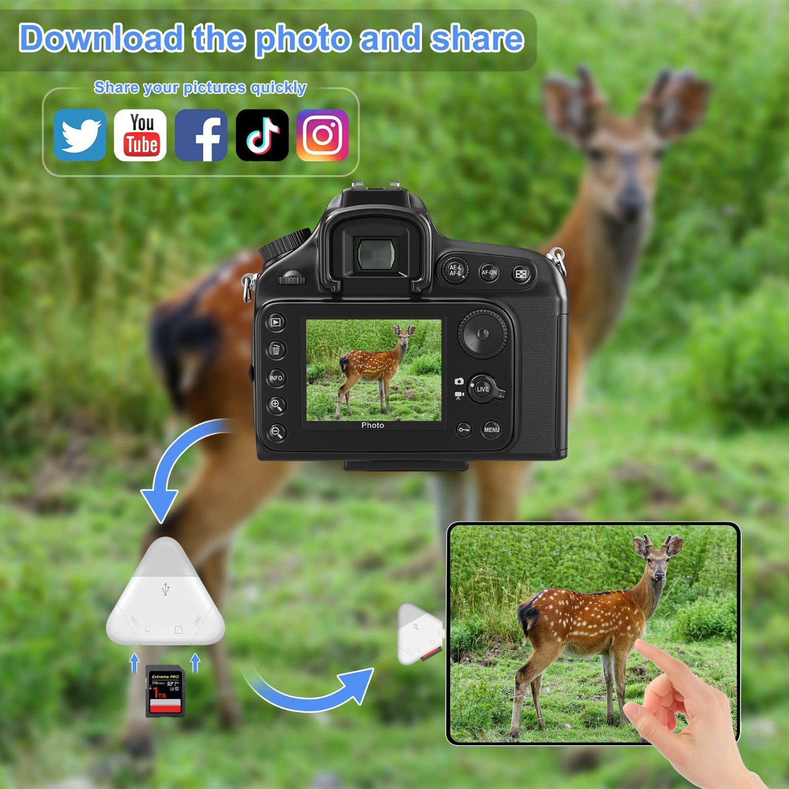 Triangle USB Type C Memory Card Reader for iPhone iPad support SD TF Card