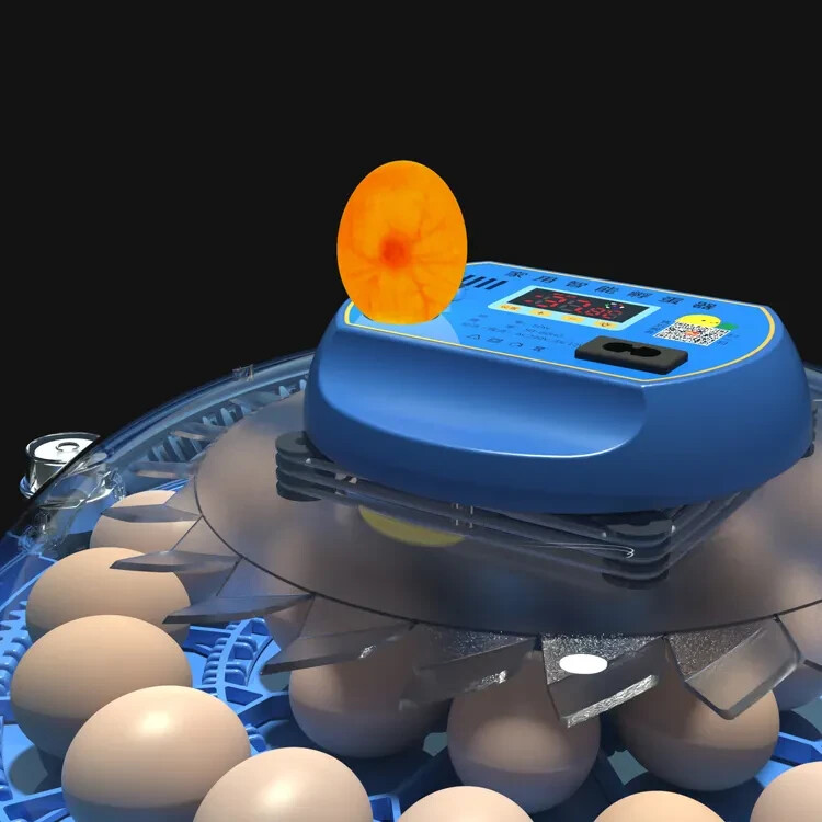 80 Egg Incubator Fully Automatic Incubator Machine for Hatching Eggs 120 Volt