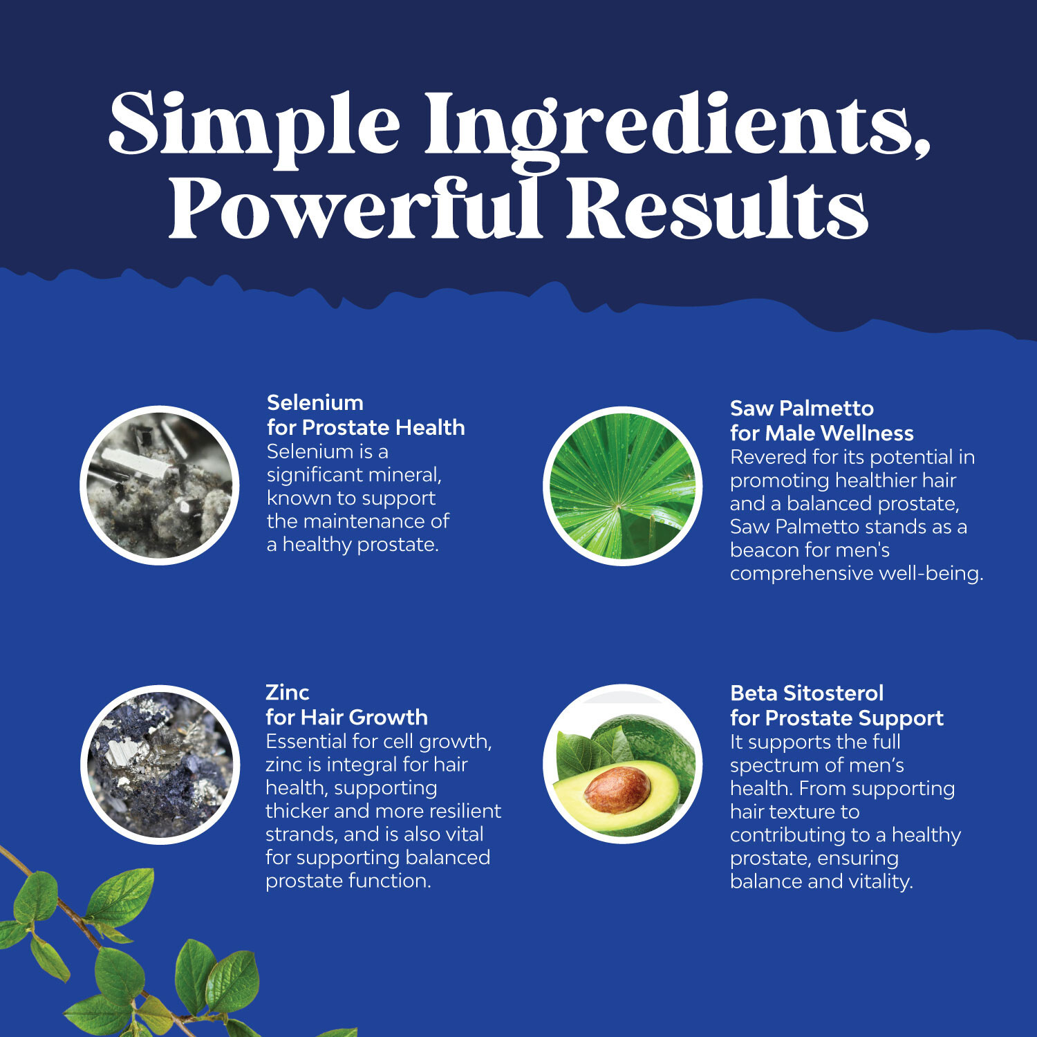 Natures Craft Saw Palmetto for Men with Beta Sitosterol - Prostate Health