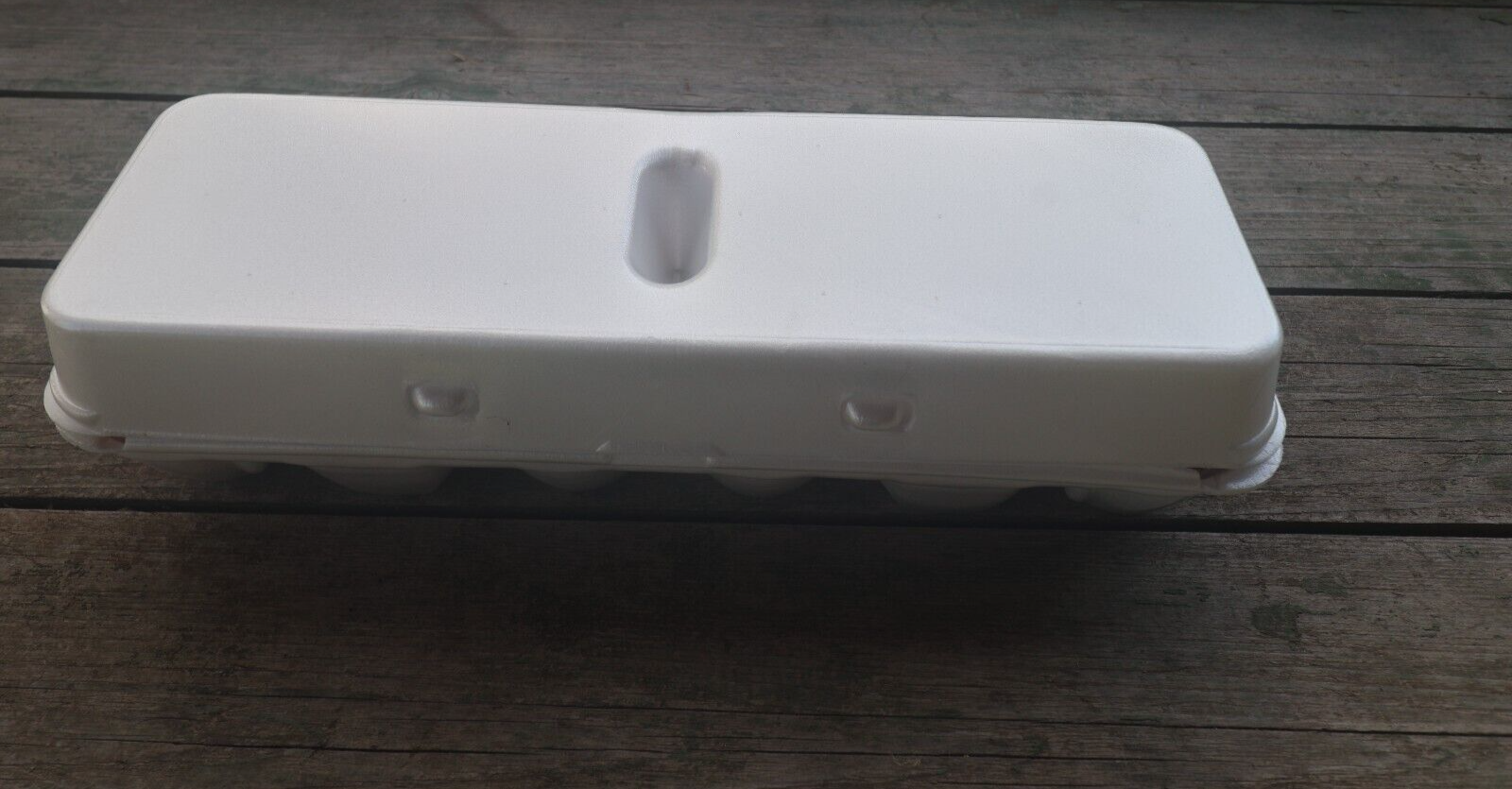 Styrofoam Bulk Egg Cartons (50 pack) White