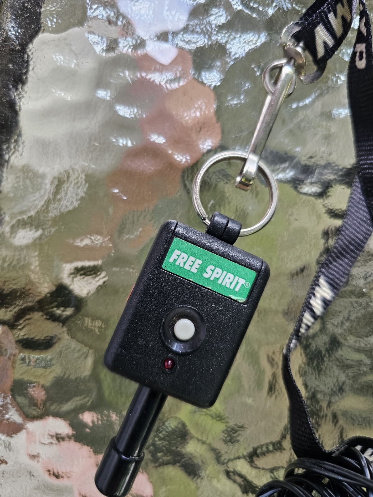 Innotek Free Spirit Dog Basic Remote Trainer FS-50A Receiver Controller w/ Case