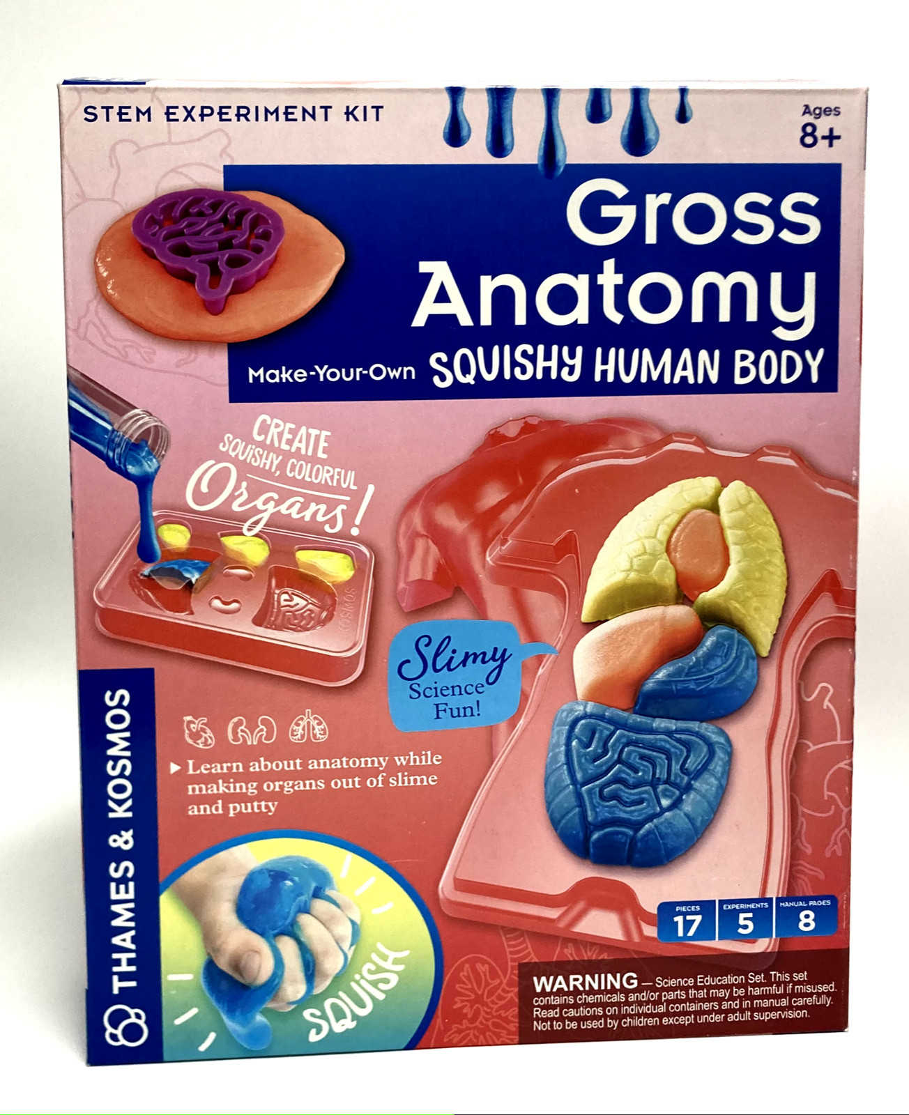 GROSS ANATOMY SQUISHY HUMAN BODY STEM EXPERIMENT KIT THAMES & KOSMOS SCIENCE