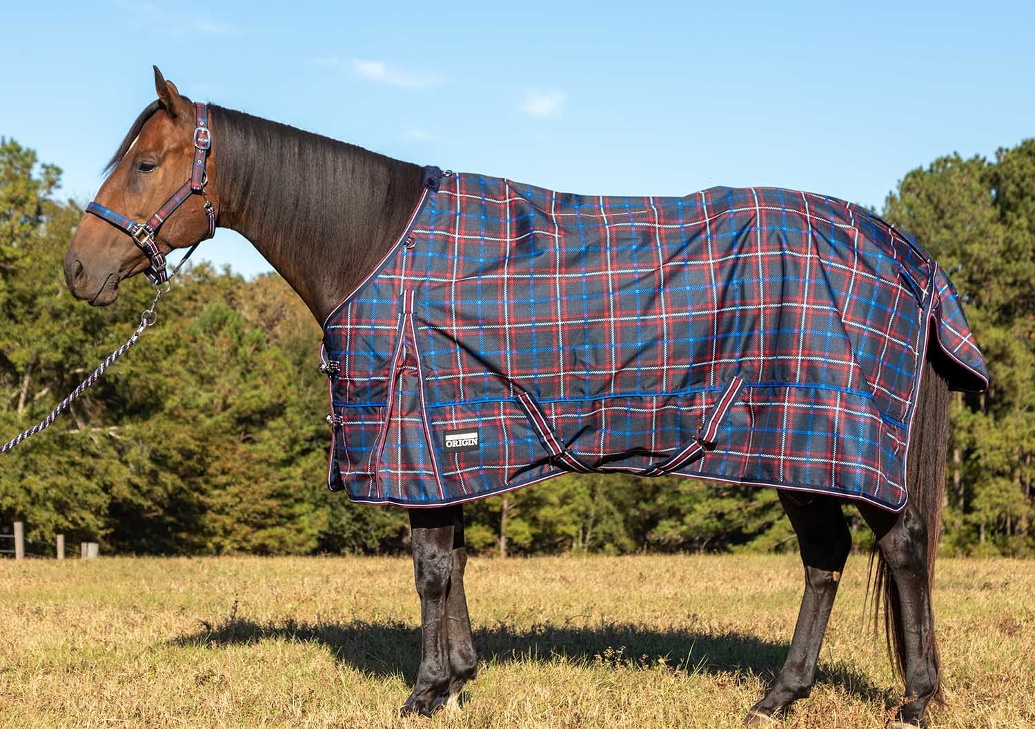 Poplar Head Origin 600 Denier Turnout Blanket, 240 Gram, Navy and Merlot Plaid