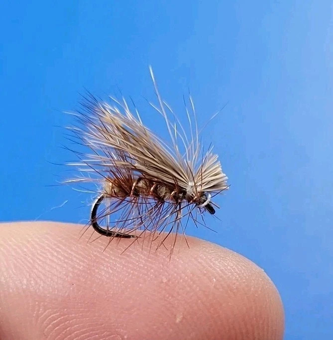 3 BARBLESS Elk Hair Caddis Sedge Dry Fly Trout Grayling coarse sizes 12 14 16 18