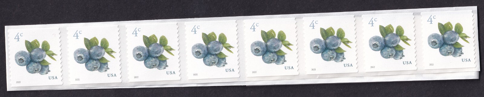Scott #5653 Blueberries (4¢) 20 Coil Stamps - MNH